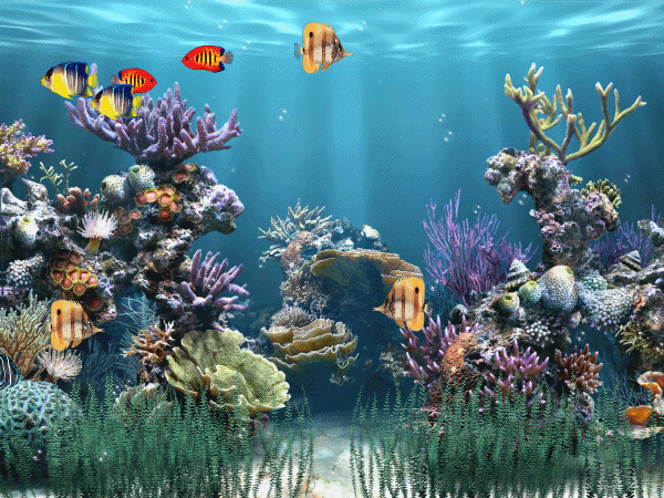 水族館